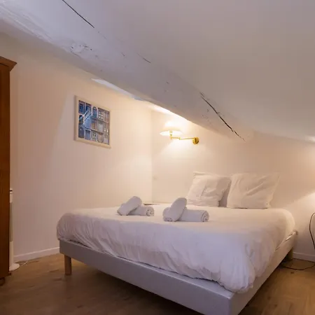 Apartamento T2 Cosy Sous Combles Proche Canal Du Midi & Cite
